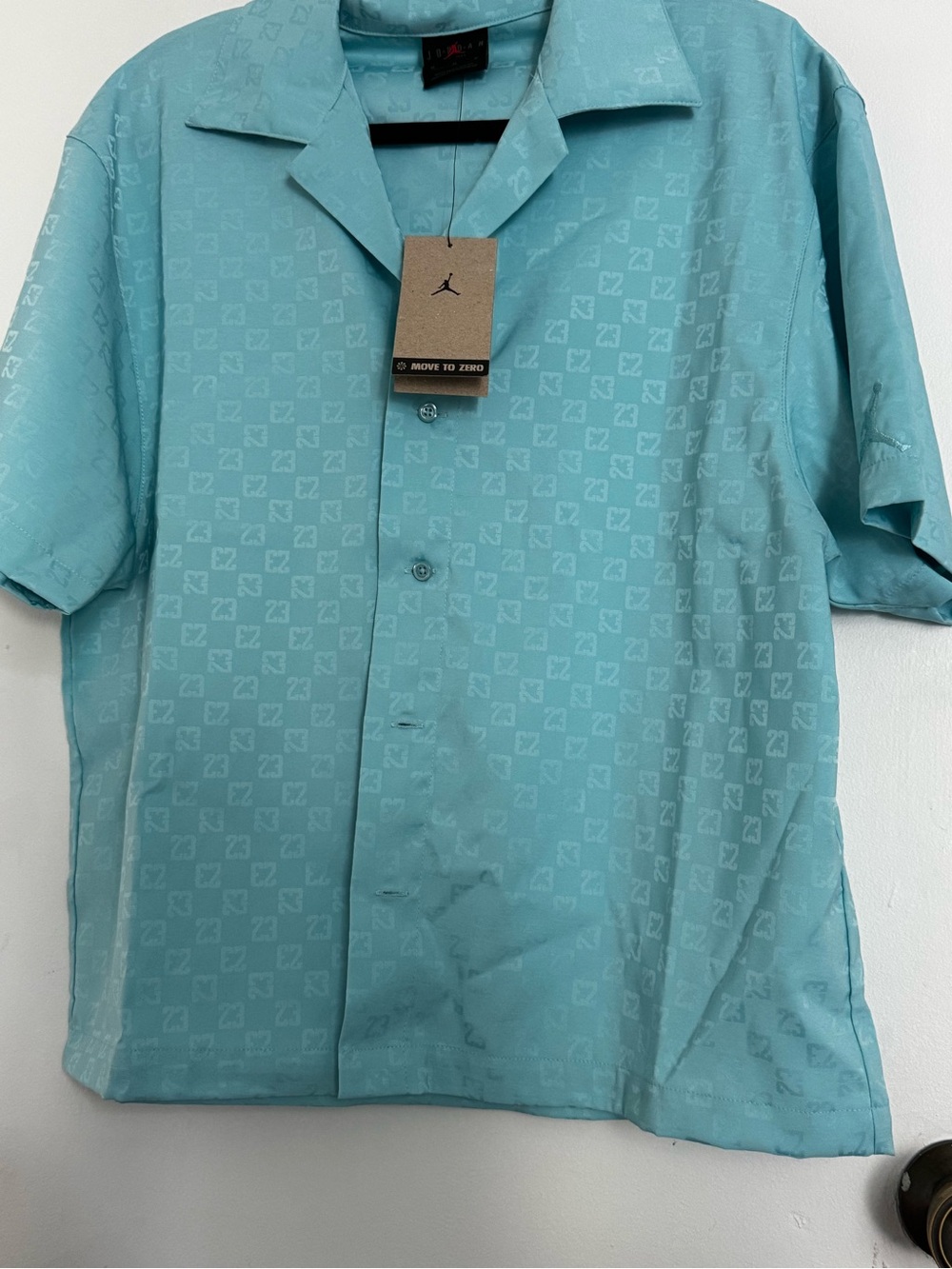 Jordan Men's Aqua Short-Sleeve Button-Down Shirt